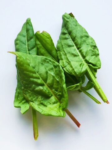 An image of sorrel leaves sitting on a white background.