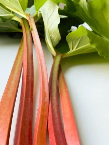 A close up image of the magenta stalks and leafy green tops of rhubarb.