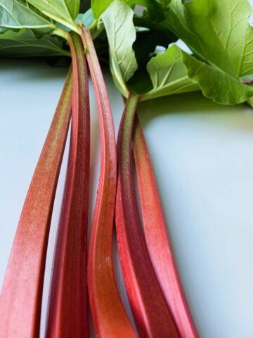 A close up image of the magenta stalks and leafy green tops of rhubarb.