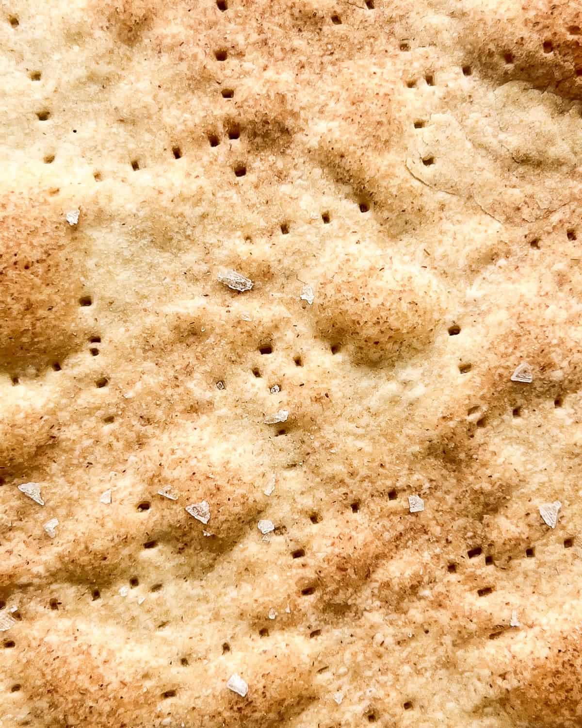 A close up image of baked matzo.