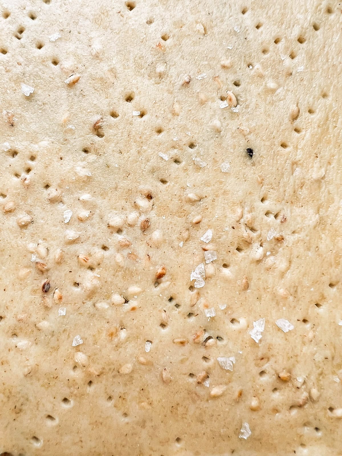 A close up of an unbaked sheet of matzo containing sesame seeds.