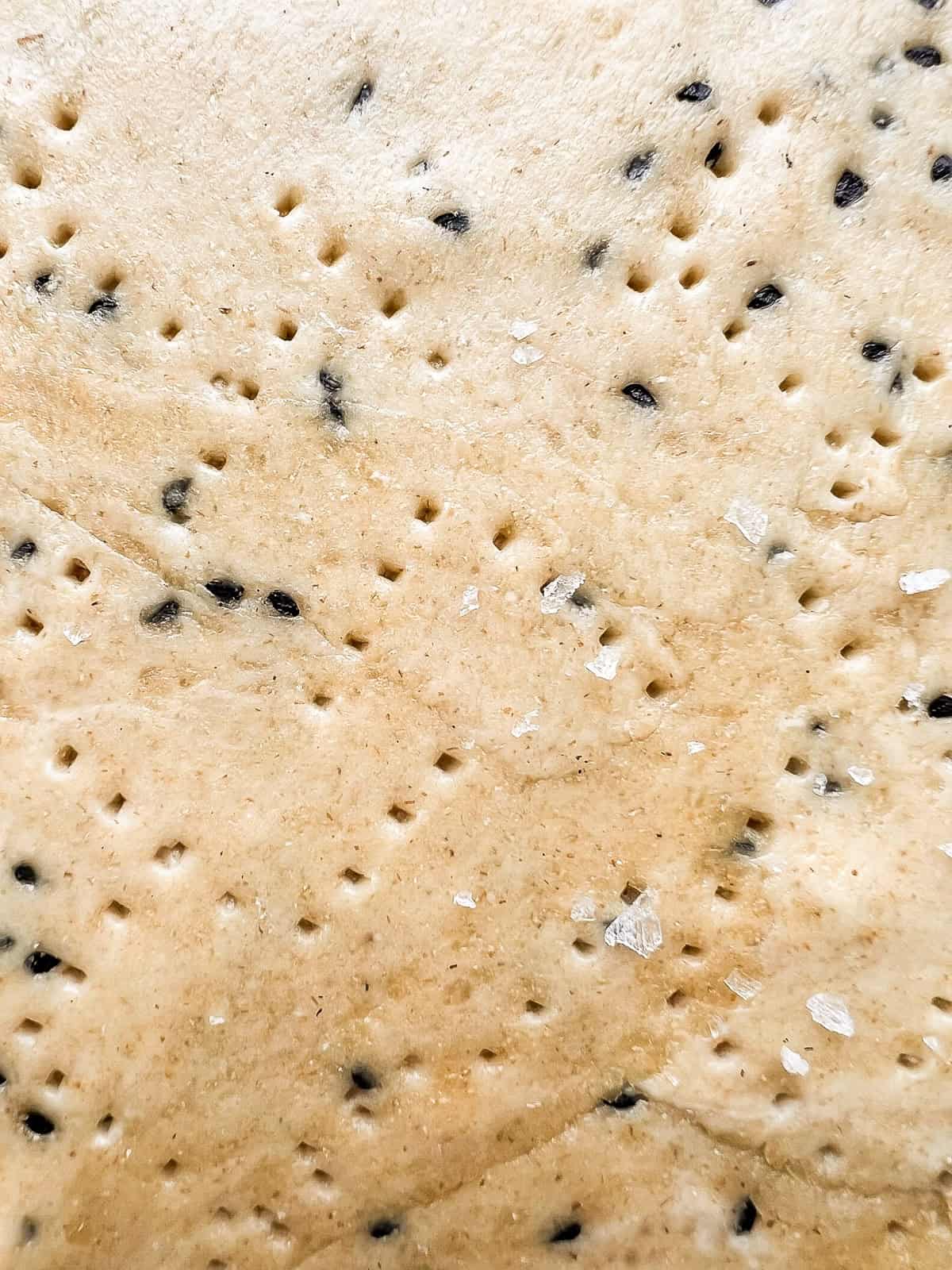 A close up of an unbaked sheet of matzo containing nigella seeds.