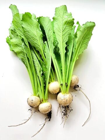 An image of white salad turnips laid out on a white surface.