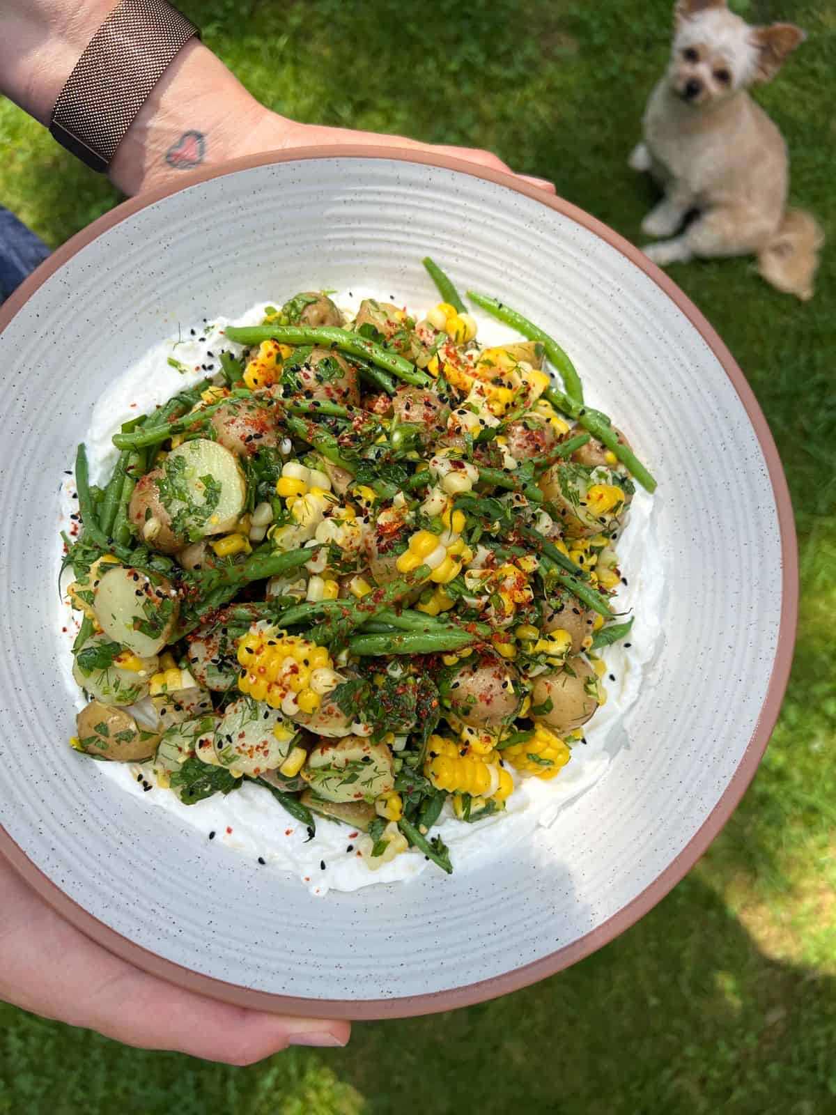 An image of Potato Salad in an earthenware bowl being held by two hands, with a hungry dog sitting on the green grass in the background.