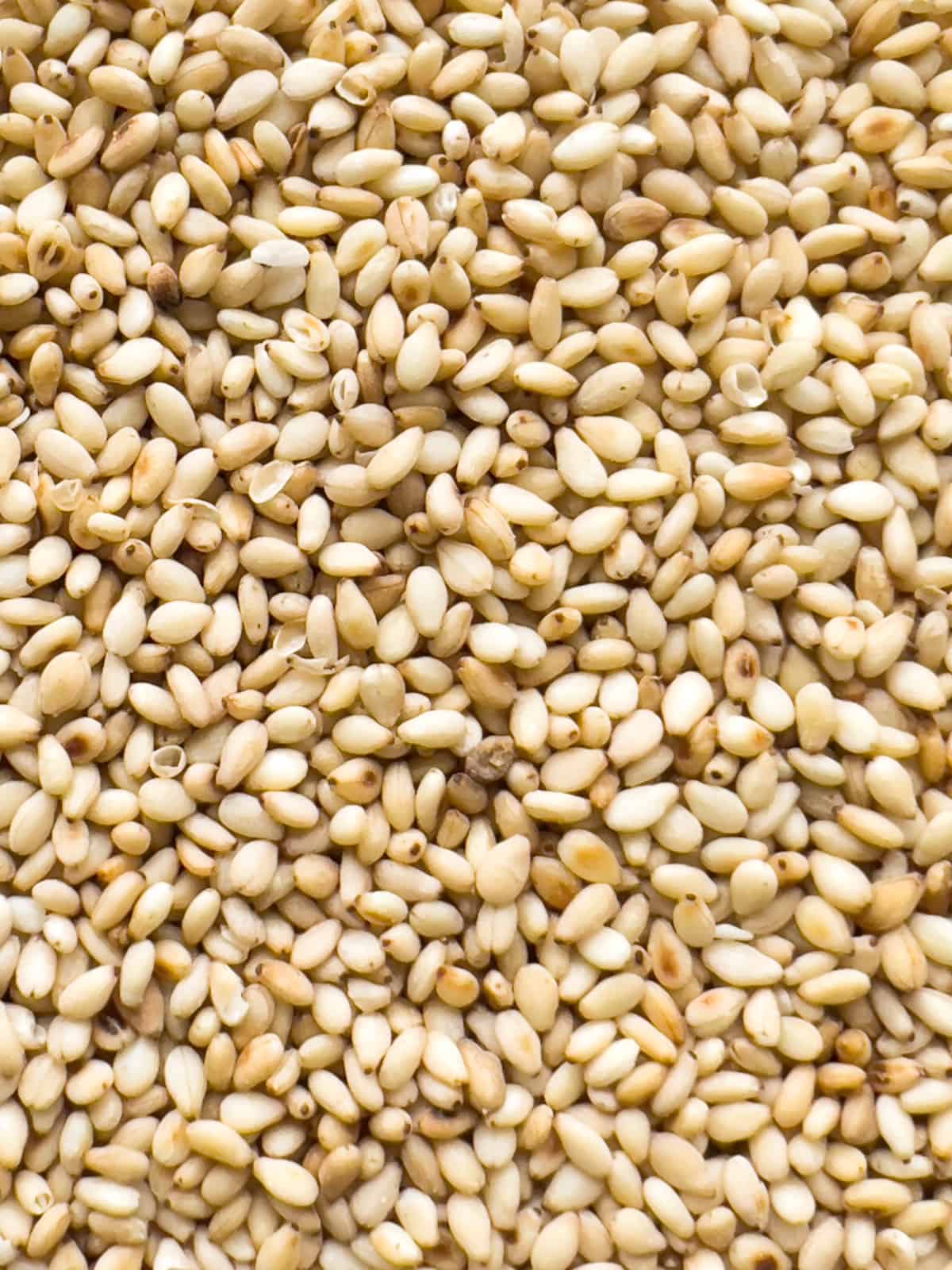 A close up image of white Japanese roasted sesame seeds.