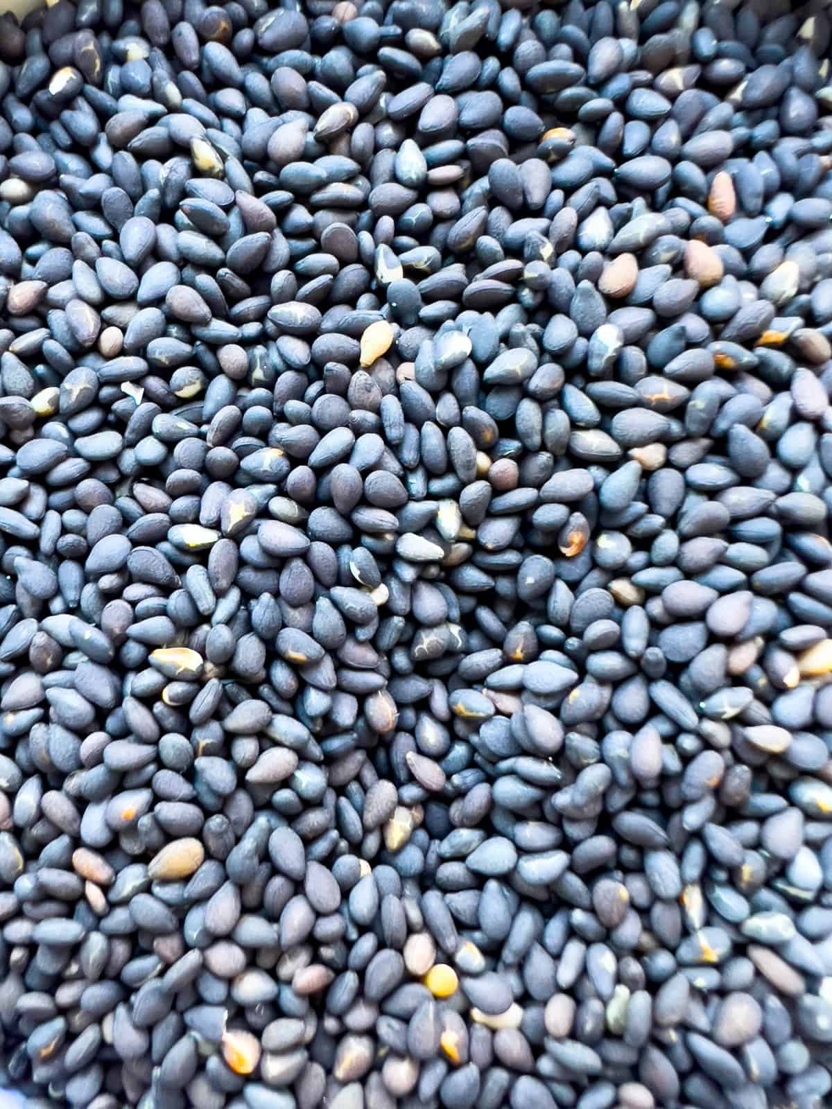 A close up image of black Japanese roasted sesame seeds.