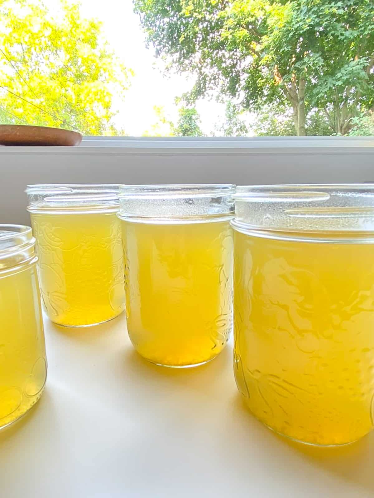 An image of corn broth cooling in jars on a white counter.