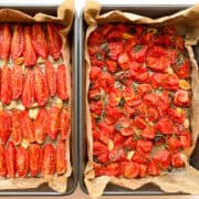 An image of two trays of Oven Roasted Tomatoes after being roasted.