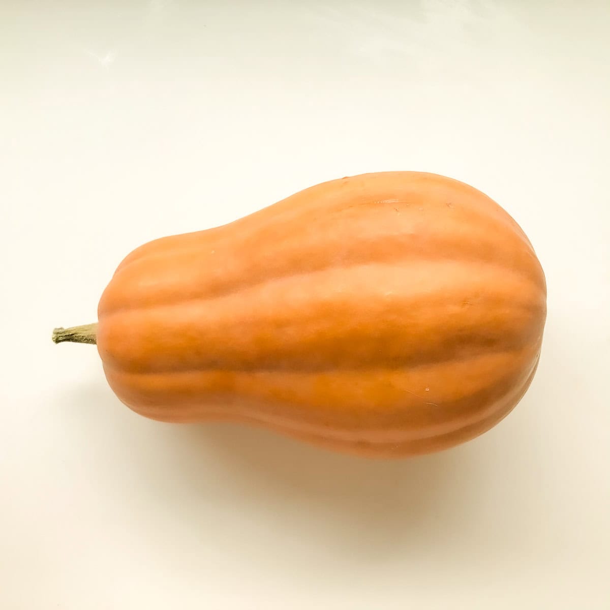 An image of a french squash on a white countertop.