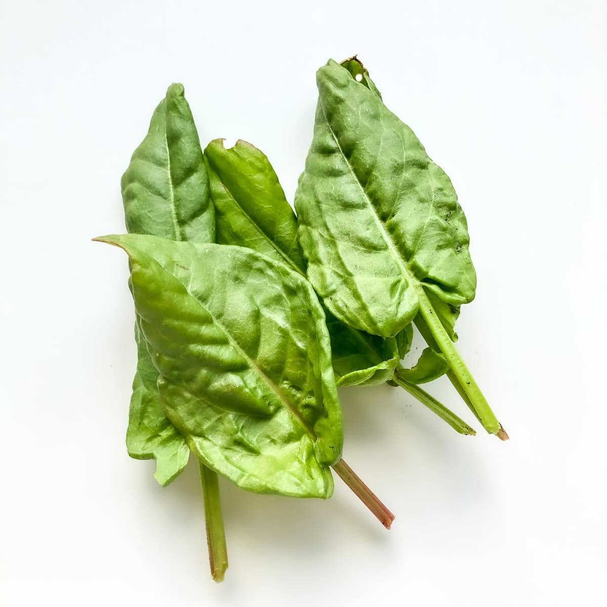 An image of sorrel on a white countertop.