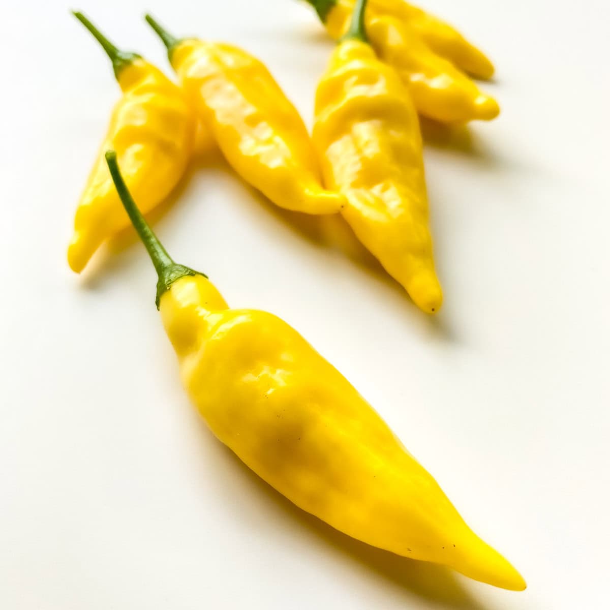 An image of aji amarillo peppers on a white countertop.