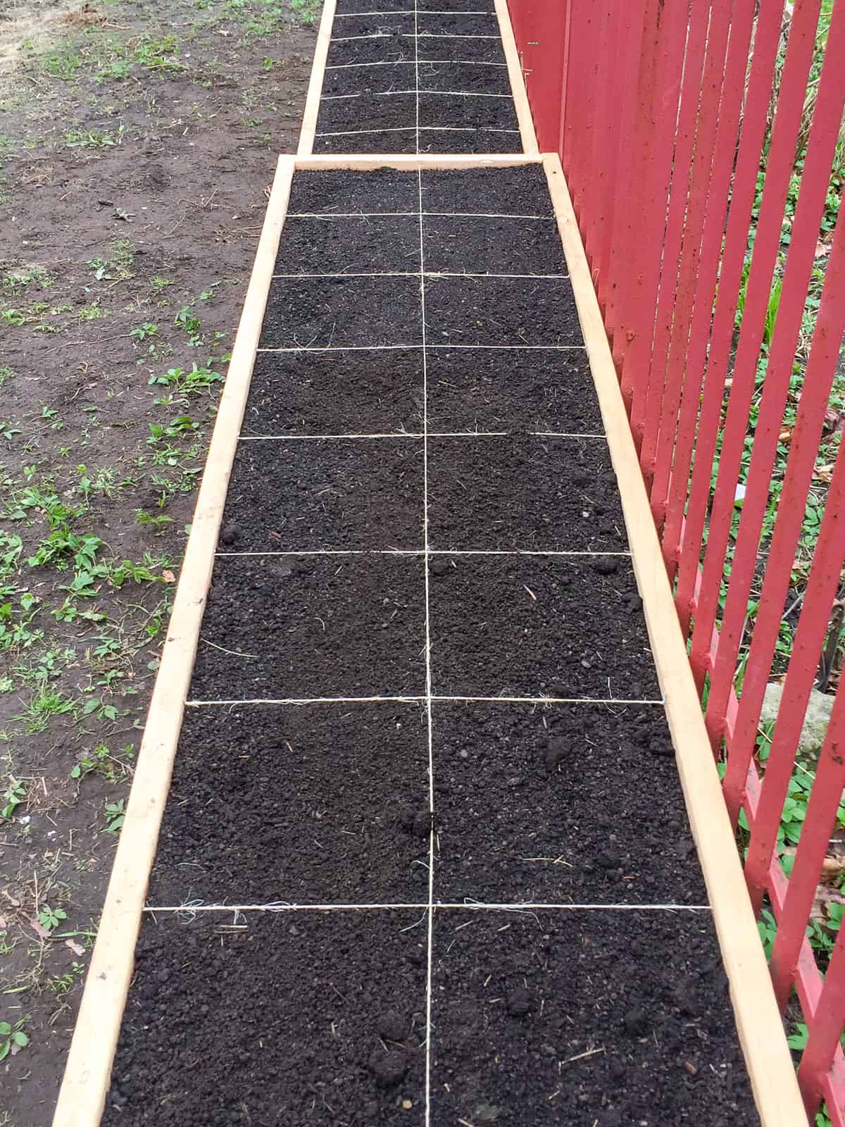 An image of a square foot garden bed gridded off with twine but empty of plants.