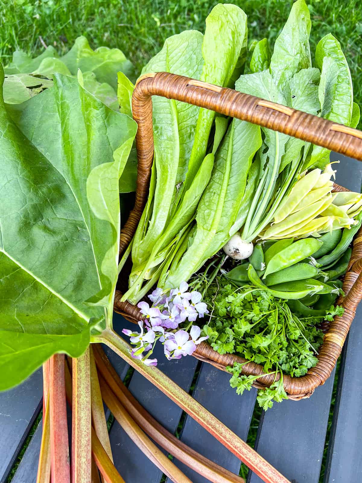 A basket filled with a mix of vegetables from a daily backyard garden harvest.