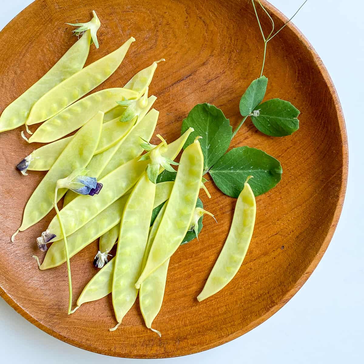 A bowl filled with golden snow peas.