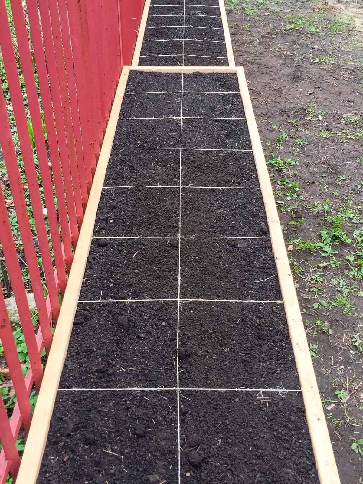 An image of a square foot garden bed gridded off with twine but empty of plants.