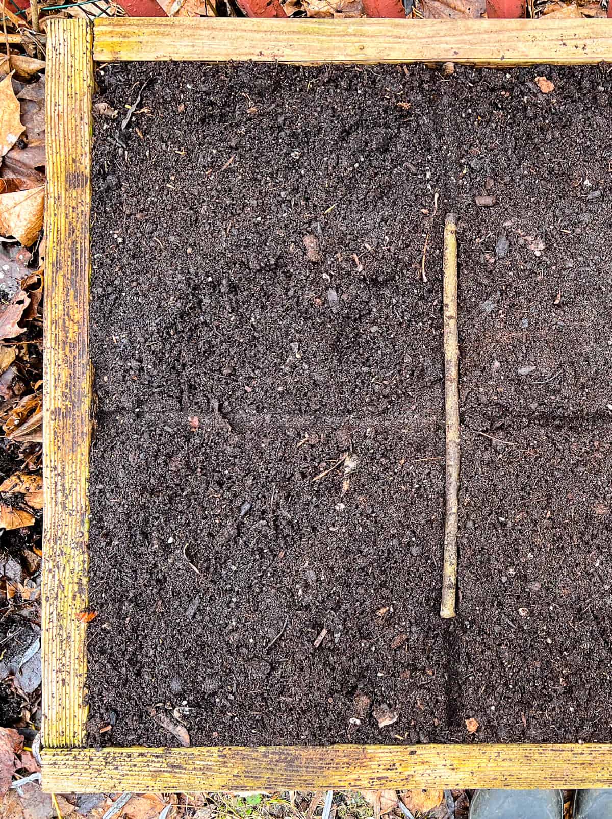 An image of a stick being used to divide square foot plots in a raised bed.