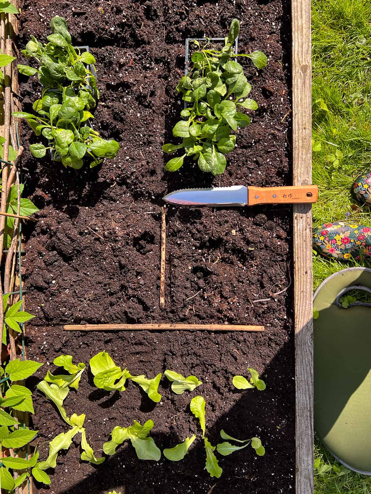 An image of planting in process in a Square Foot Garden.
