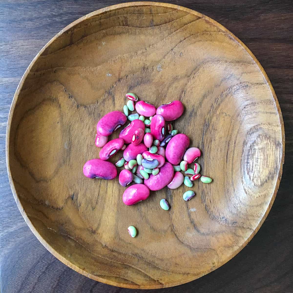 Dried seeds collected from a Square Foot Garden.