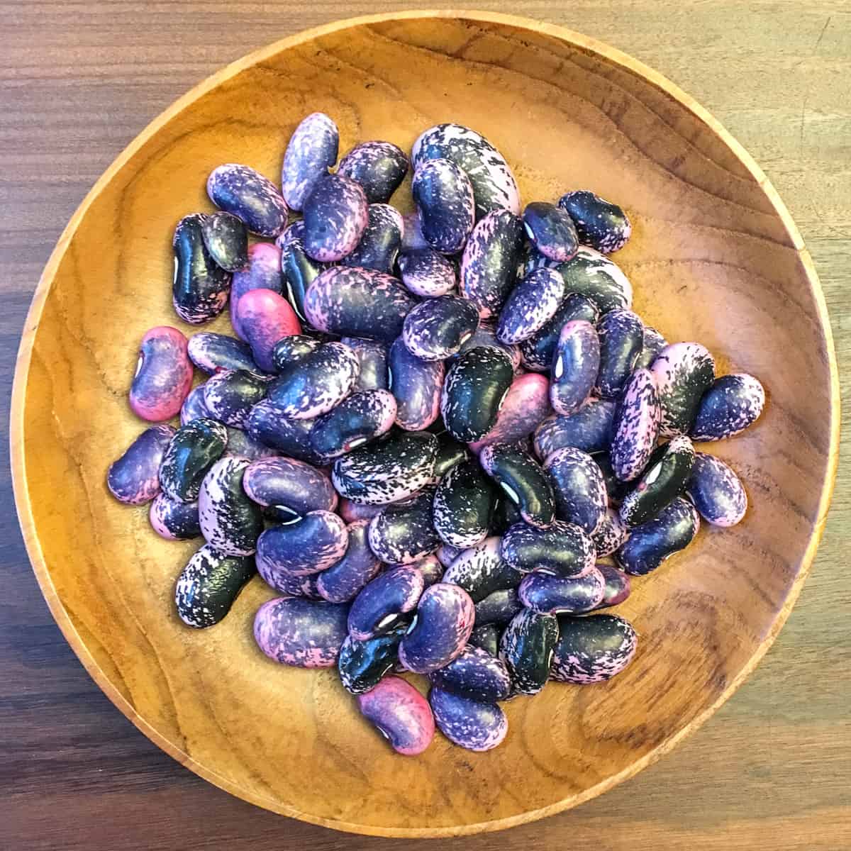 Dried seeds collected from a Square Foot Garden.