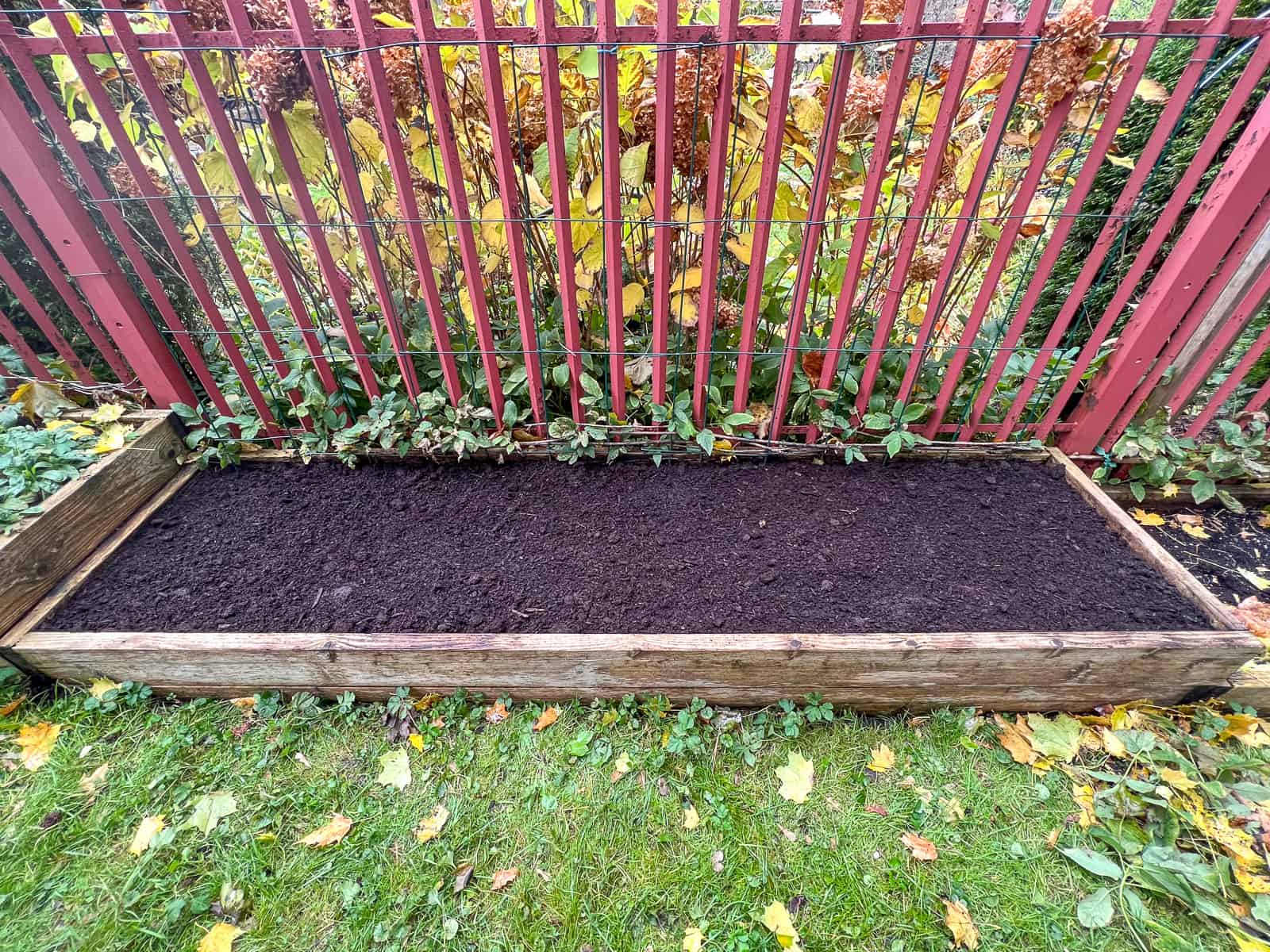 A gloriously tidy and clean raised bed, filled with nutrient rich soil, and ready to start spring plantings