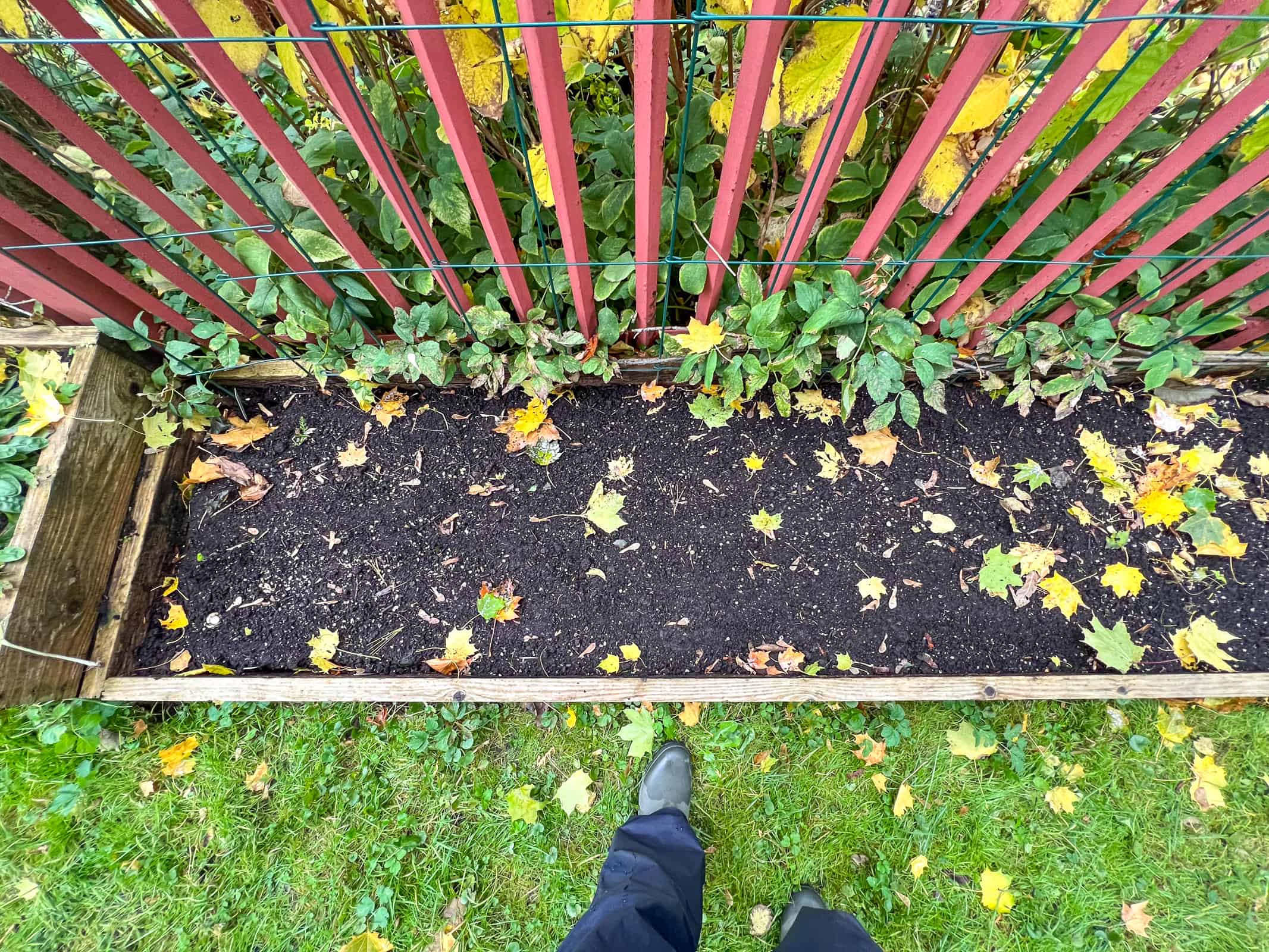 An image of a raised bed before seasonal garden maintenance.