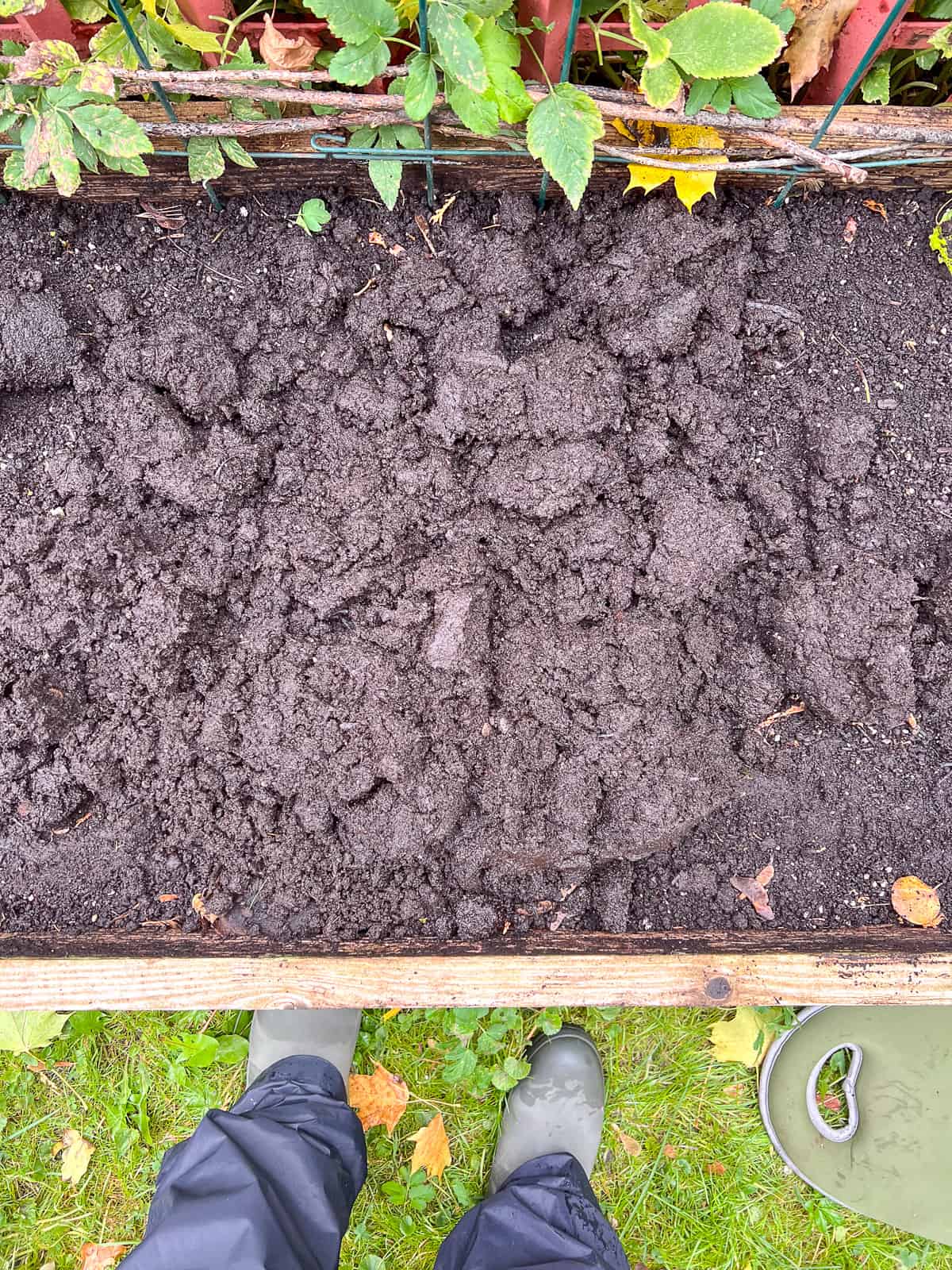 An image of compost dumped on top of the soil of a raised bed ready to be mixed in, during seasonal garden maintenance.