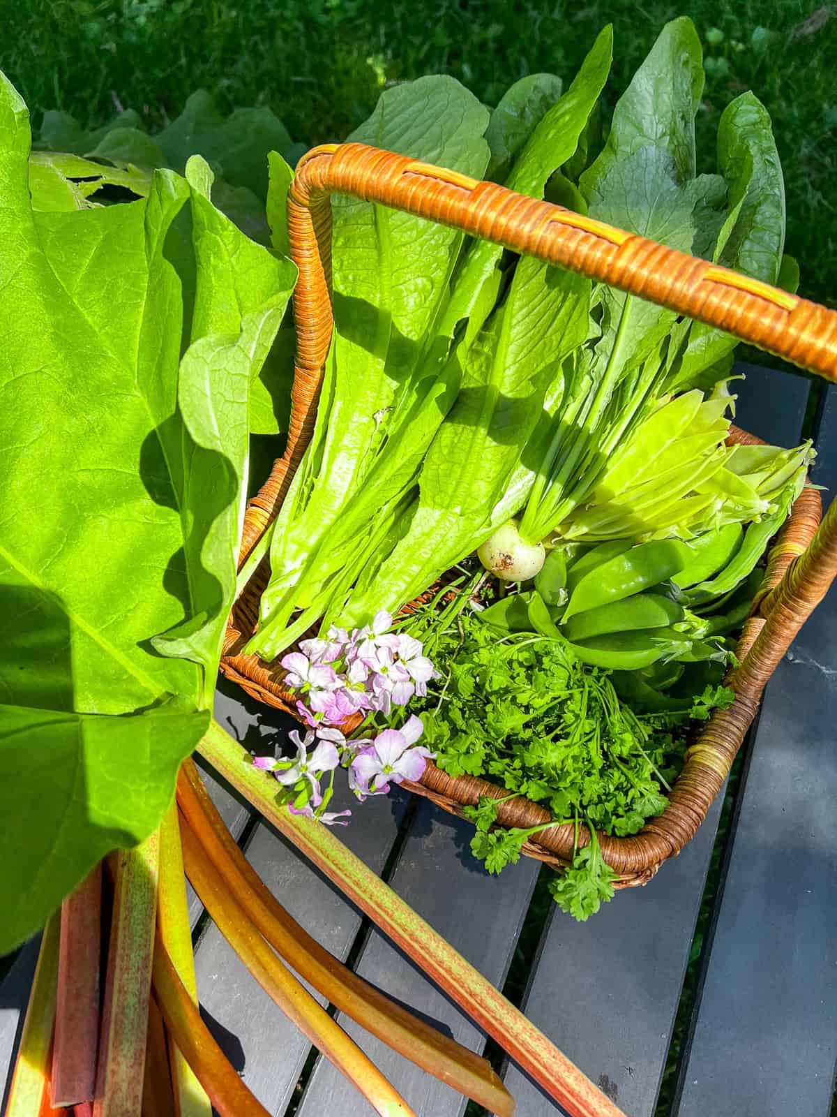 A basket of homegrown produce including romaine lettuce leaves.