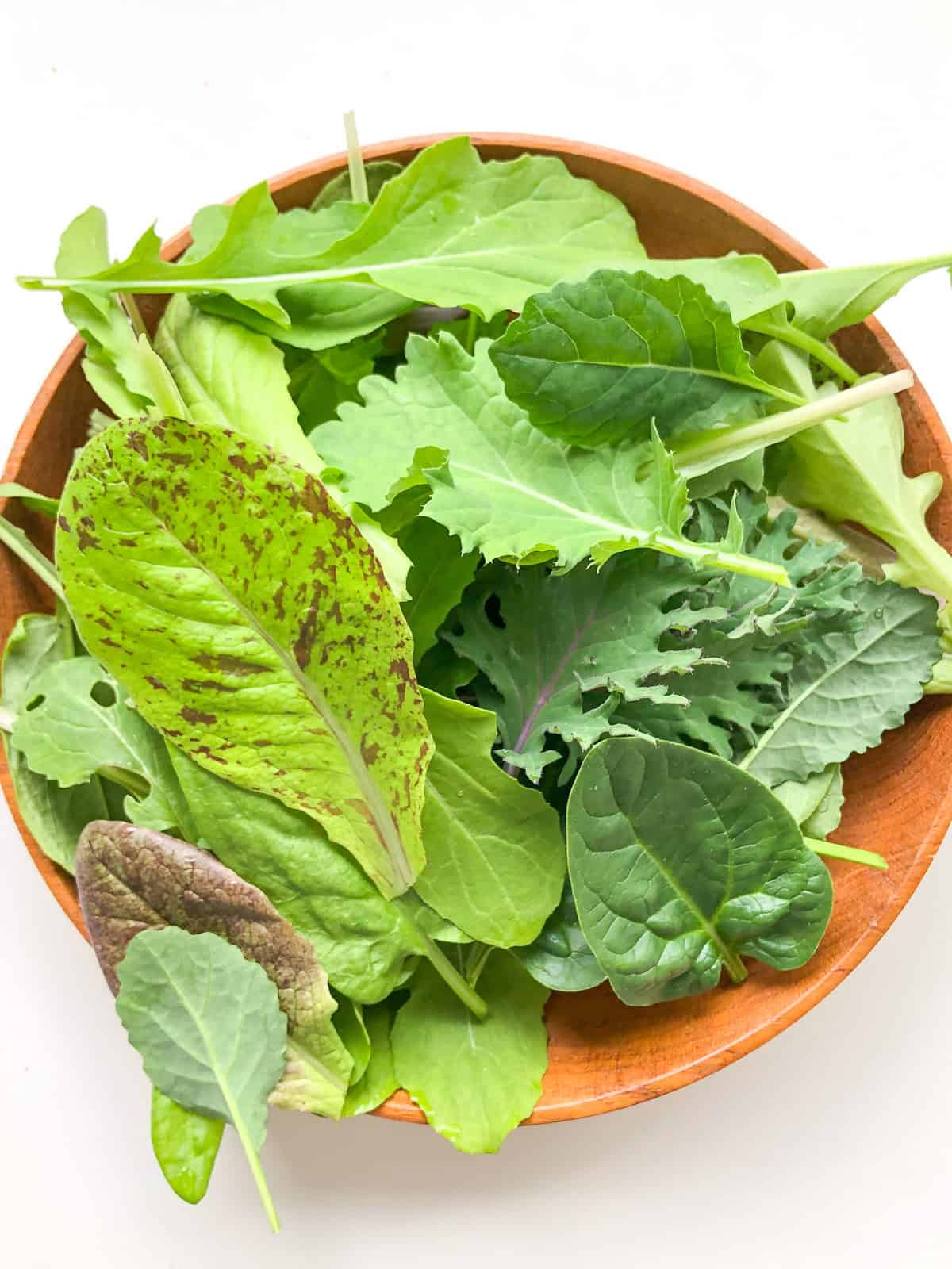 A wooden salad bowl with various baby greens just picked from the garden.