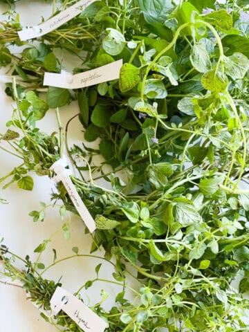 An image of bundles of herbs ready to be dried.