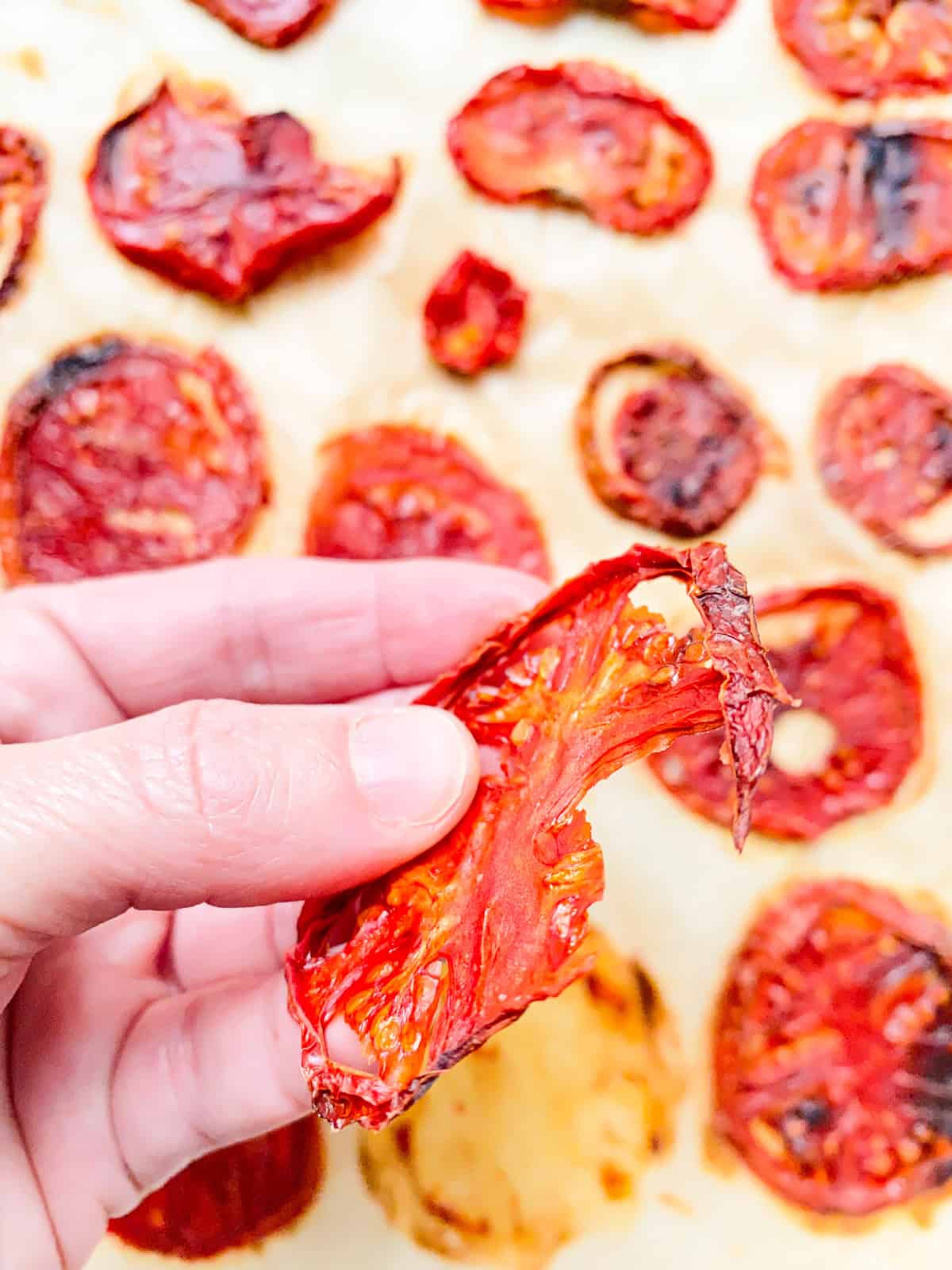 An image of a hand holding a dried tomato slice.